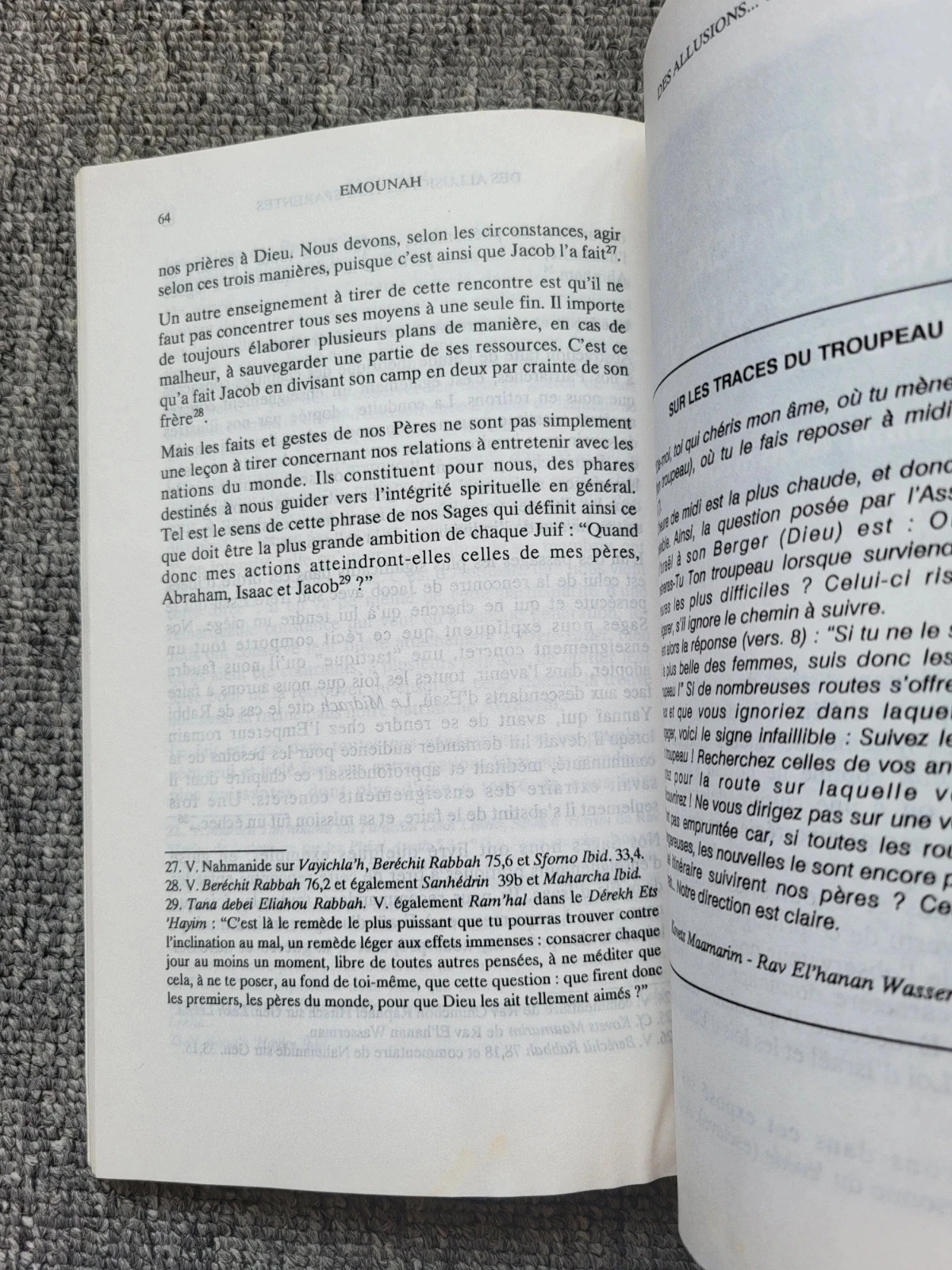 Livre Emounah n° 18 : Pensamento judaico, Torá, Judaísmo (Rav Grodzienski) - Raro – photo 6